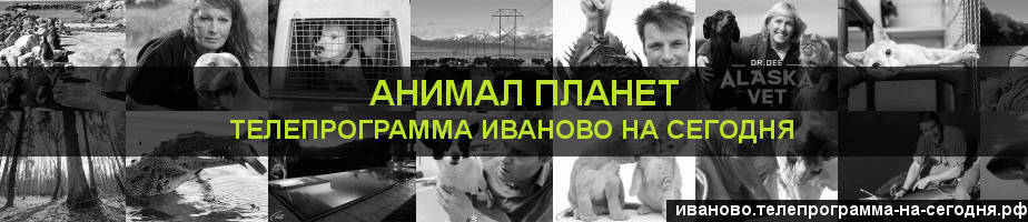 Телепрограмма на сегодня канала Анимал Планет, Иваново