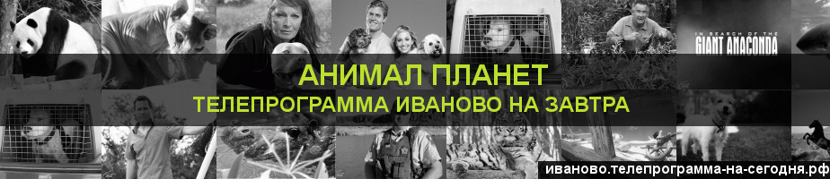Телепрограмма на завтра канала Анимал Планет, Иваново