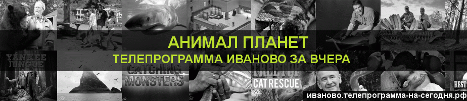 Телепрограмма за вчера канала Анимал Планет, Иваново