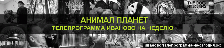 Телепрограмма на неделю канала Анимал Планет, Иваново